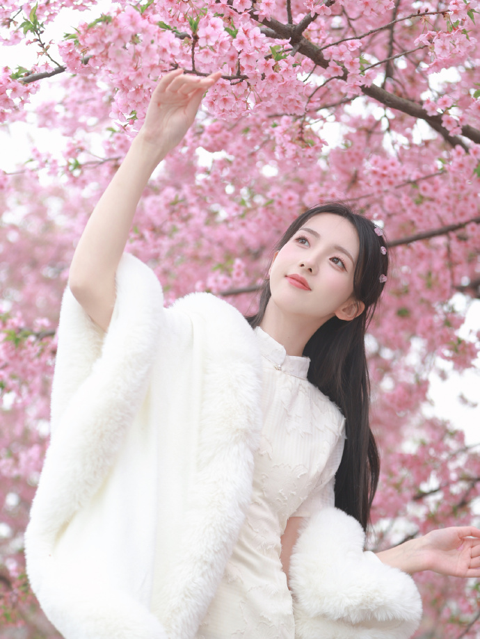 极盗车神